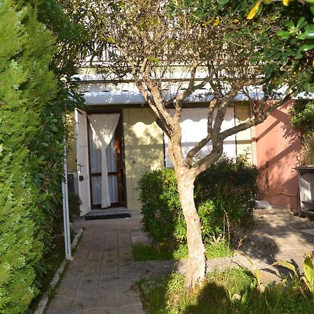 Fantastic Sardinia Villette Con Giardino Fronte Mare Fertilia Faho-Gav01-Gav02 Exterior foto