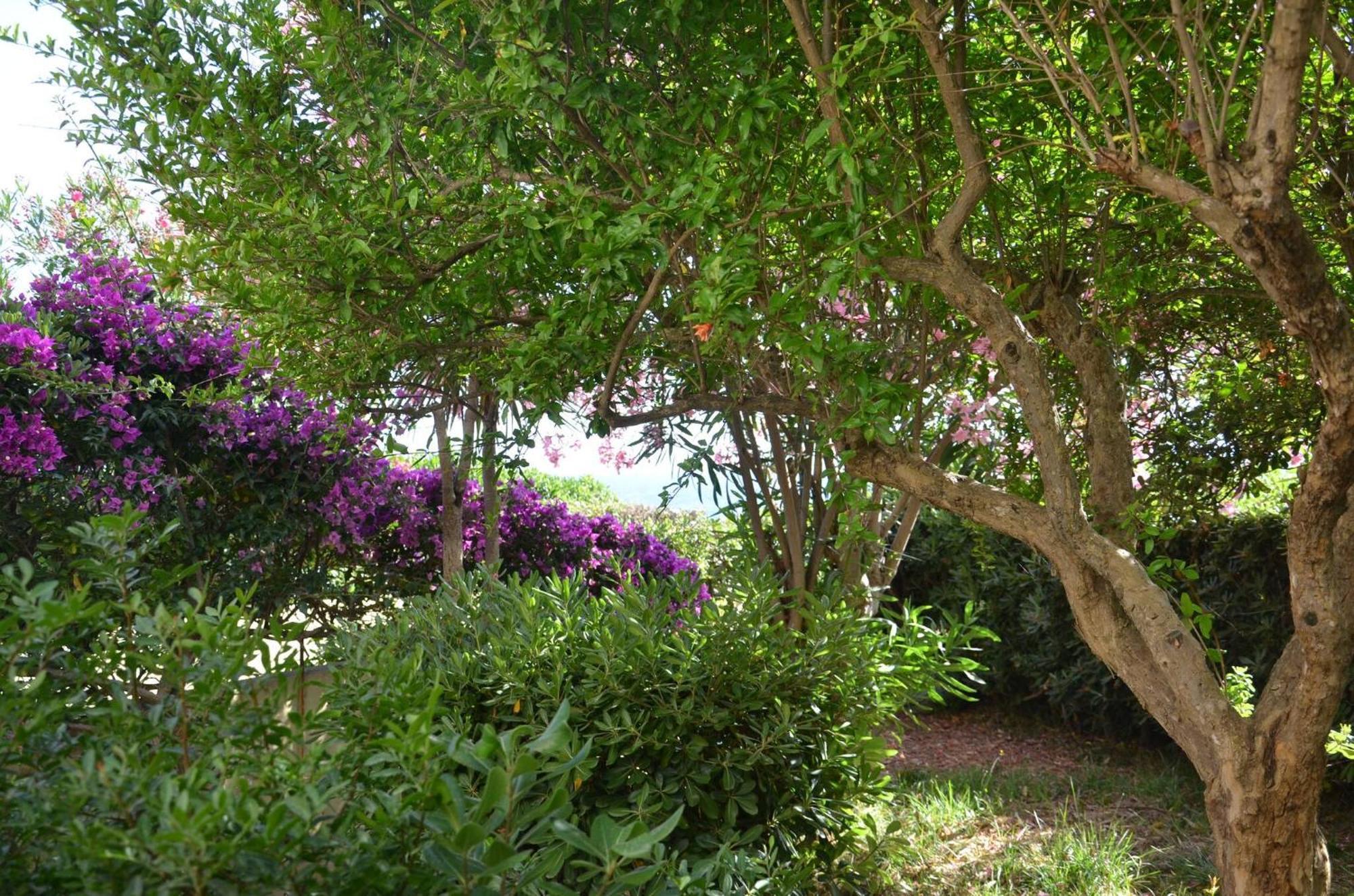 Fantastic Sardinia Villette Con Giardino Fronte Mare Fertilia Faho-Gav01-Gav02 Exterior foto