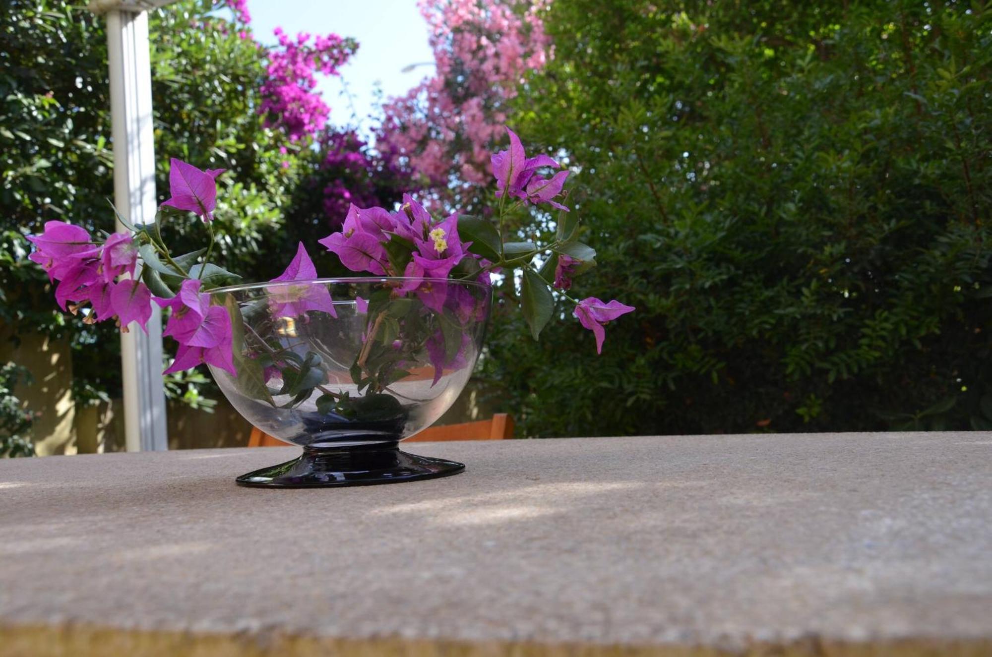 Fantastic Sardinia Villette Con Giardino Fronte Mare Fertilia Faho-Gav01-Gav02 Exterior foto
