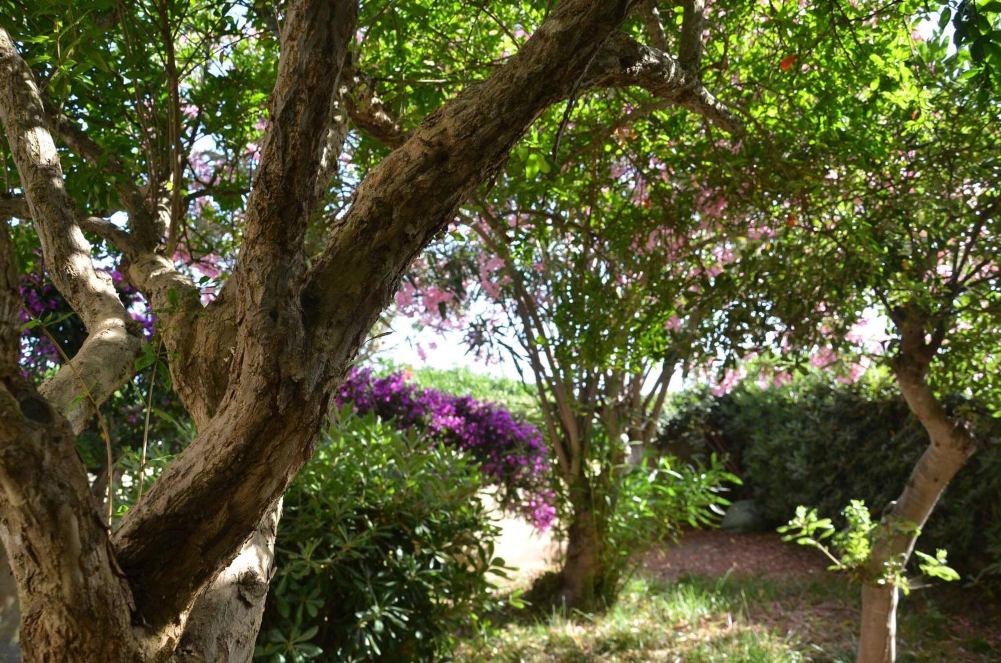 Fantastic Sardinia Villette Con Giardino Fronte Mare Fertilia Faho-Gav01-Gav02 Exterior foto